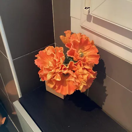 Apartman Don Gnocchi